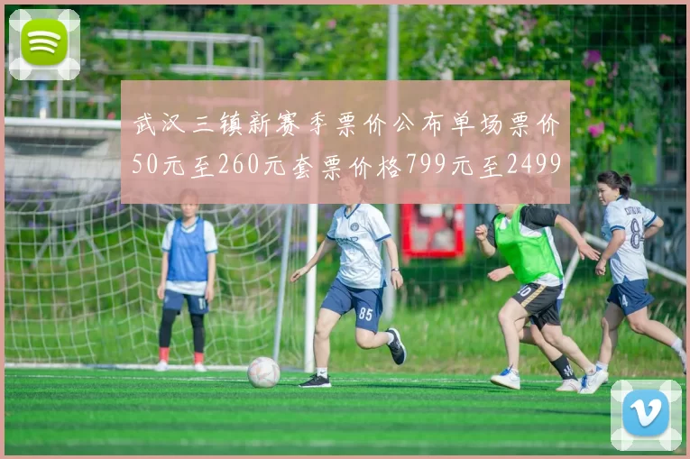 武汉三镇新赛季票价公布单场票价50元至260元套票价格799元至2499元