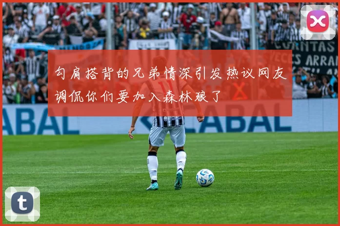 勾肩搭背的兄弟情深引发热议网友调侃你们要加入森林狼了