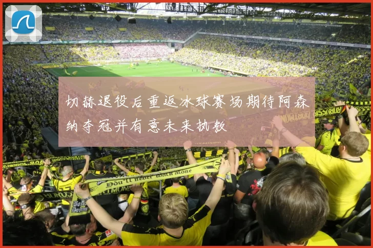 切赫退役后重返冰球赛场期待阿森纳夺冠并有意未来执教